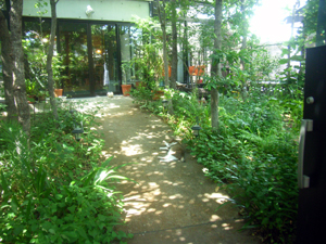e0056411_23311471.jpg