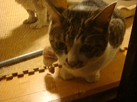 f0152412_011711.jpg