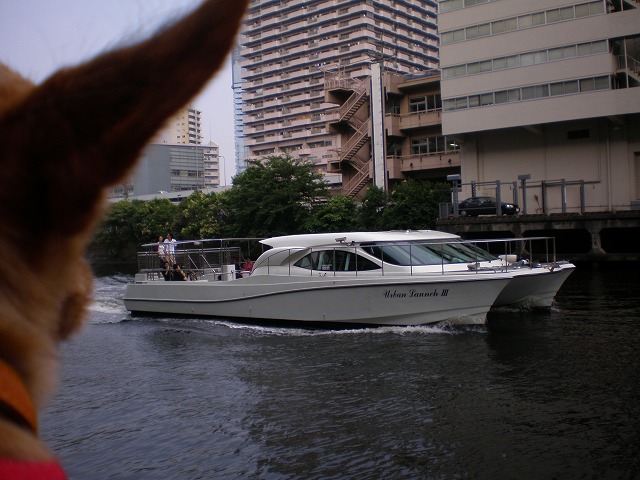 b0144519_1555651.jpg