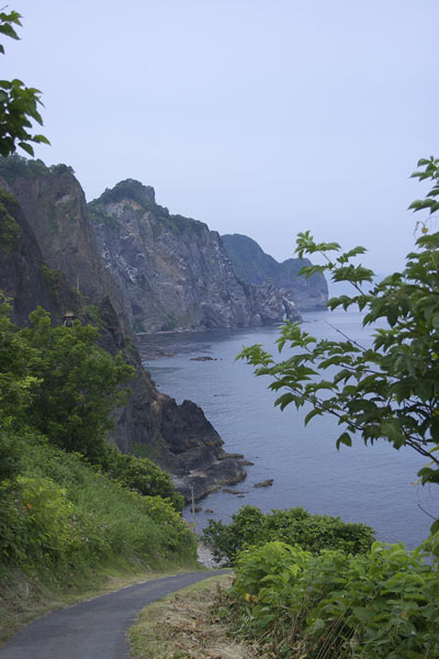 e0001123_10583645.jpg