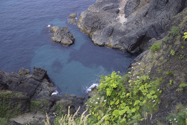 e0001123_10585965.jpg