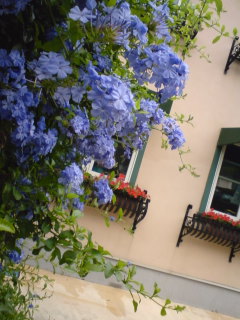 f0128723_23293170.jpg