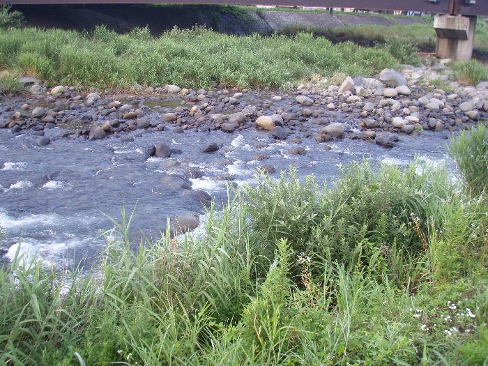 f0103126_2137525.jpg
