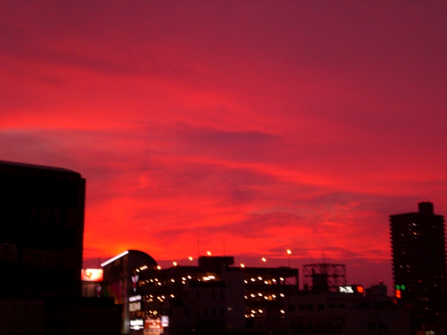 b0116327_010116.jpg