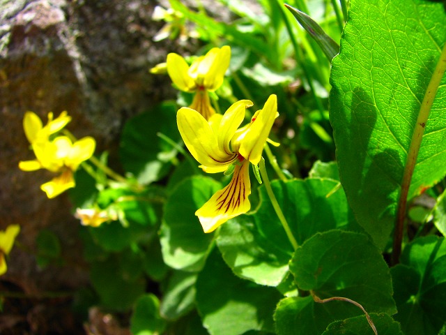 b0097836_1848328.jpg
