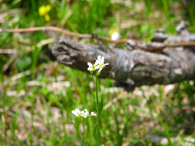 b0097836_1849691.jpg