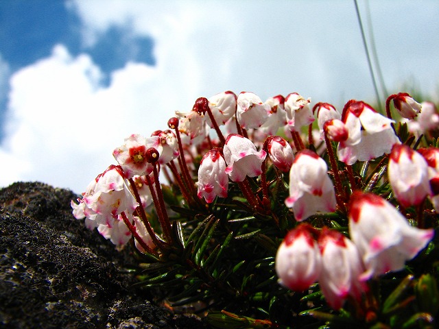 b0097836_18534435.jpg