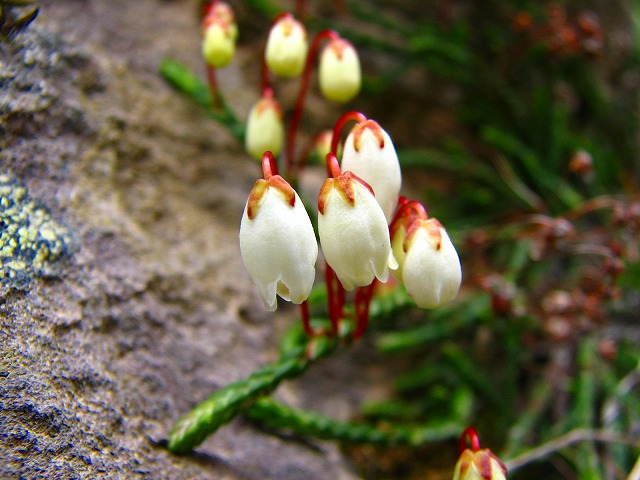 b0097836_18541688.jpg