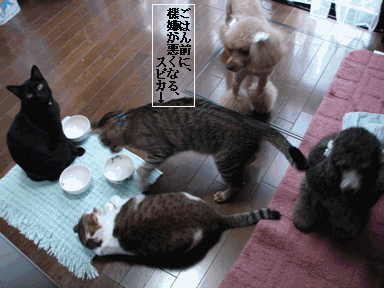 c0136736_2224467.gif