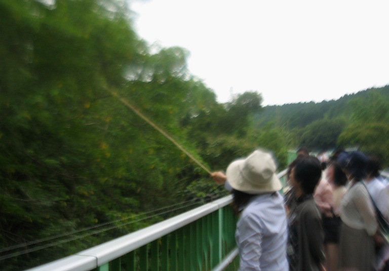 f0042737_21385464.jpg