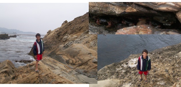 f0146342_3191798.jpg