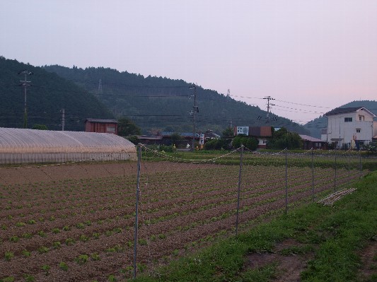 c0072843_20243741.jpg