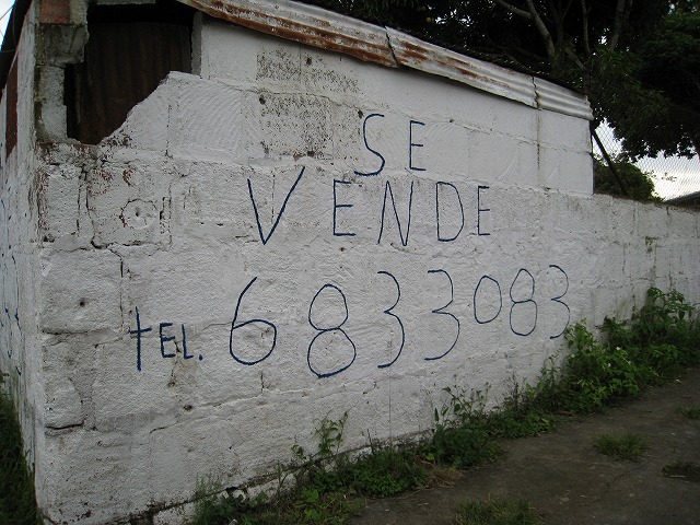 b0127144_128222.jpg