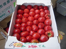 d0129745_1553211.jpg