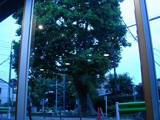 f0009451_559195.jpg