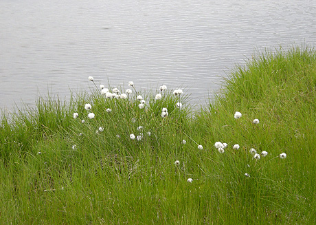 a0001354_23471266.jpg