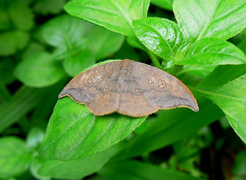 d0091754_1462358.jpg