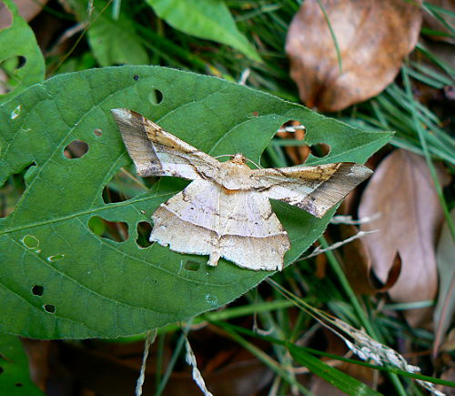d0091754_2414134.jpg