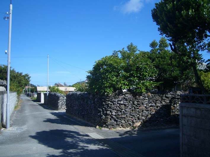 b0002156_2273686.jpg