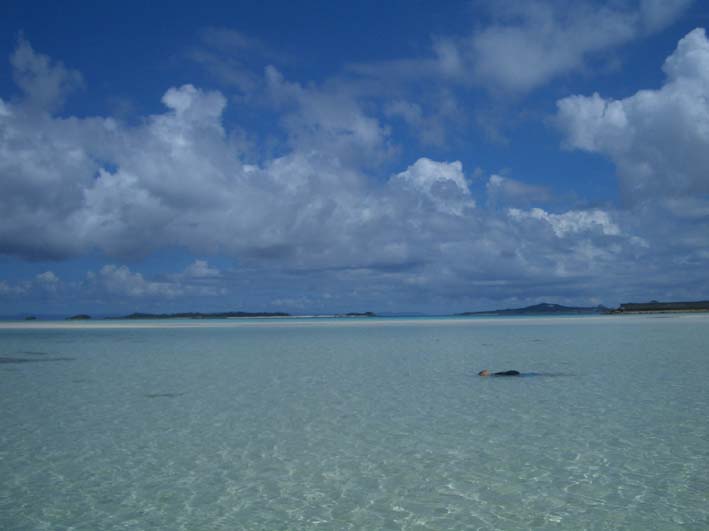 b0002156_252025.jpg