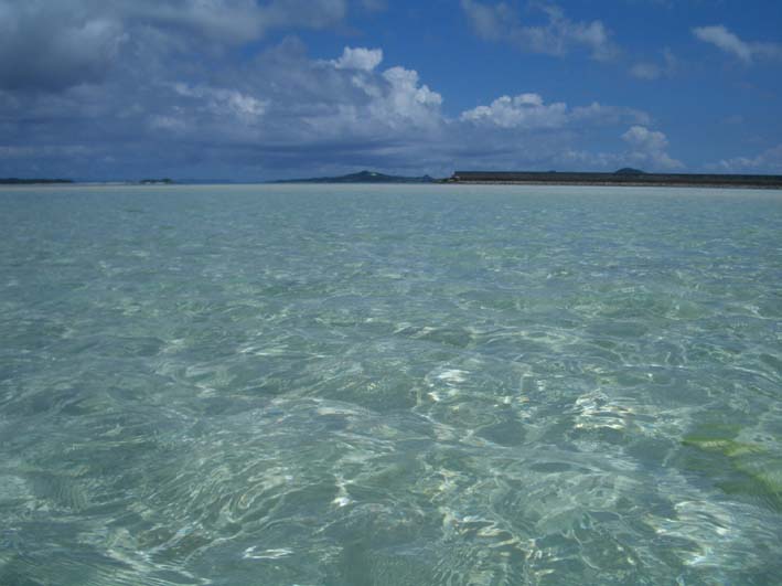 b0002156_25462.jpg