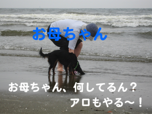 a0101958_16452535.jpg