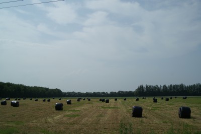 a0004359_20361968.jpg