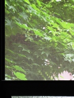 f0082961_11183374.jpg