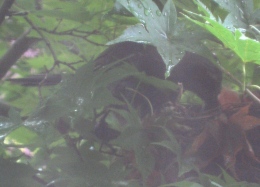 f0082961_11201723.jpg