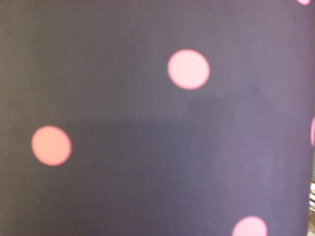 a0108963_16283371.jpg