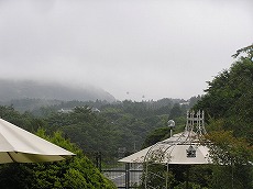 b0145863_23442454.jpg