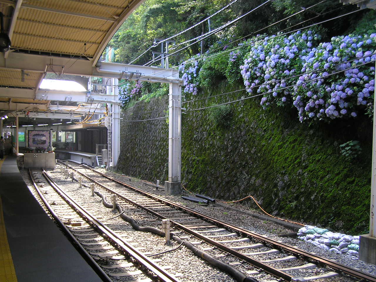 b0145863_2358258.jpg