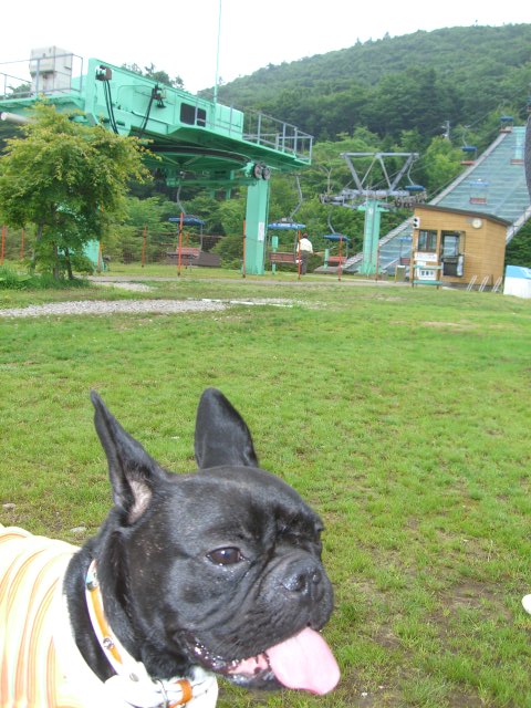 c0081363_0122818.jpg