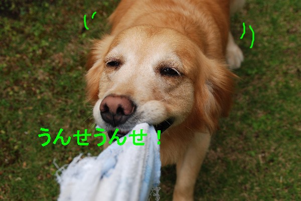 e0020166_20142674.jpg