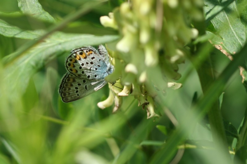 b0088772_22283270.jpg