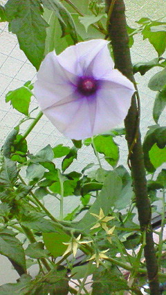 f0116278_1465070.jpg