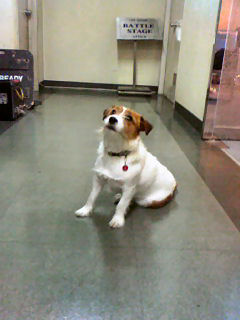 c0125283_10281797.jpg