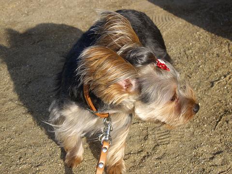 f0143386_20123130.jpg