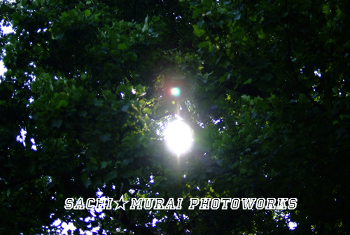 c0073387_232484.jpg