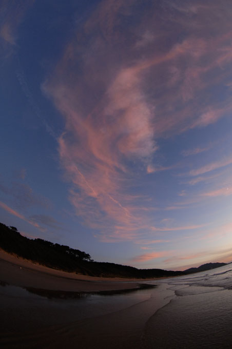 f0112087_1755355.jpg