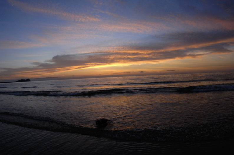 f0112087_1755682.jpg