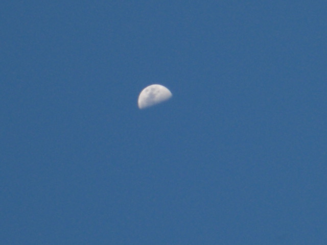 c0106491_23321182.jpg