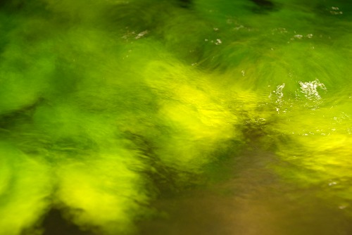 b0119493_23264380.jpg
