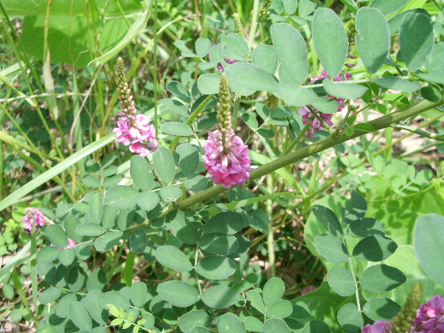 e0025300_14154879.jpg