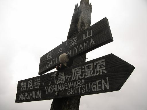b0116703_19441072.jpg