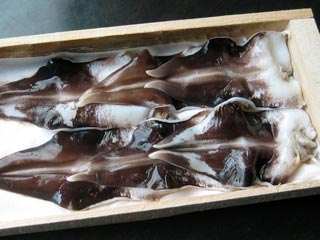 e0060305_1330996.jpg