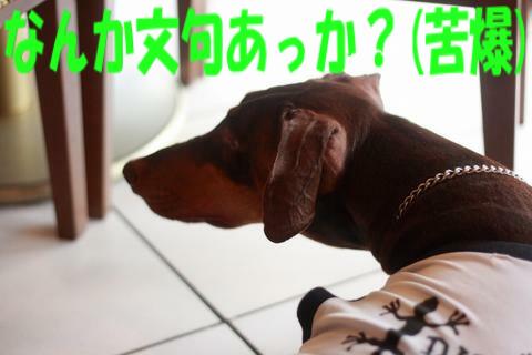 e0100007_22365964.jpg