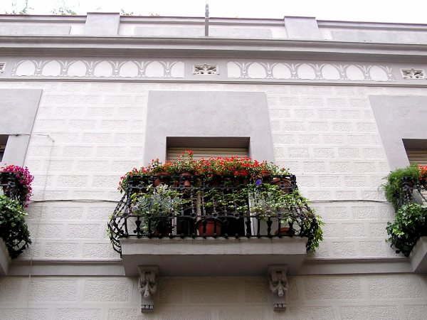 b0064411_77896.jpg