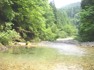 a0103615_914312.gif