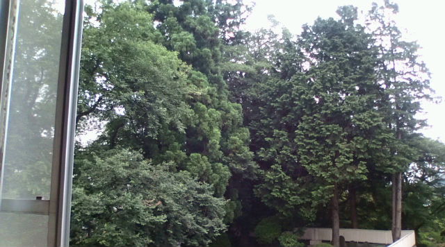 f0126418_16393921.jpg